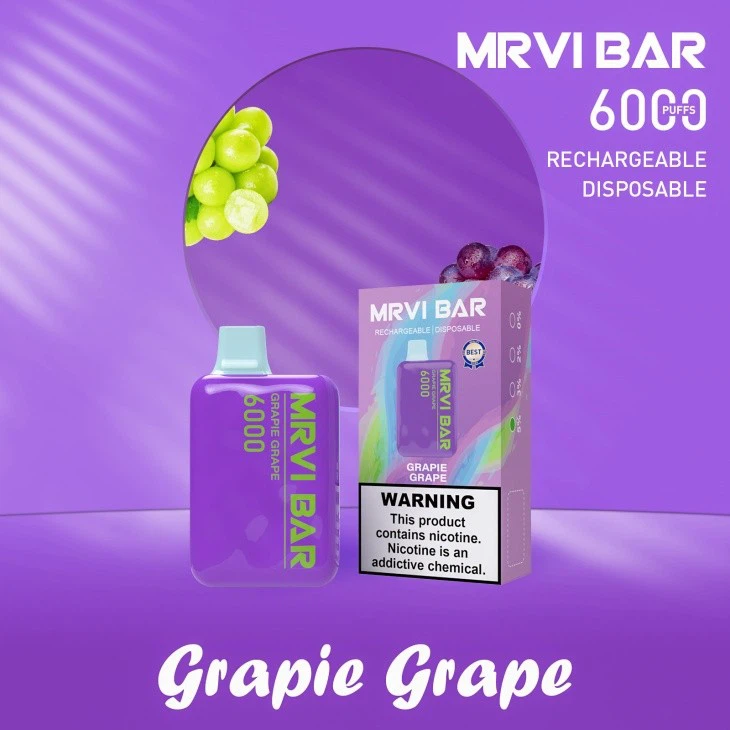 E Cigarette Device Big Vapor